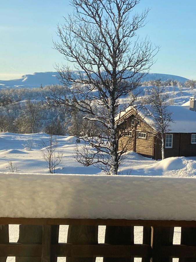 Storemyr By Norgesbooking - Cabin With Amazing View Myro Dış mekan fotoğraf